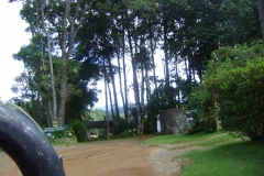 DSC01819