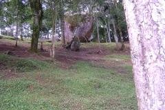 DSC01824