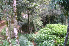 DSC01825