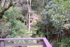 DSC01826