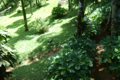 DSC01830