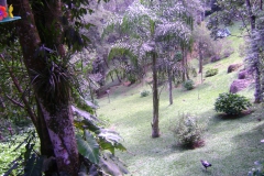 DSC01831