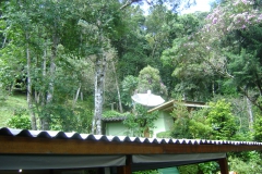 DSC01834