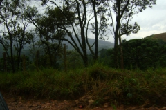 DSC01926