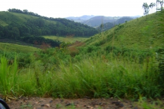 DSC01931