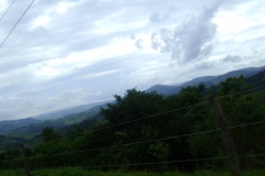 DSC01937