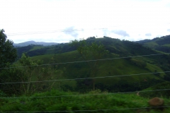 DSC01939