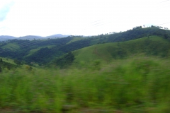 DSC01941