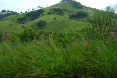 DSC01943