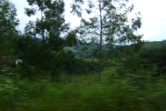 DSC01944