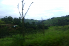 DSC01945