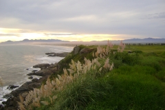 DSC01716