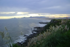 DSC01718