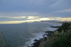 DSC01729