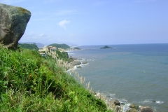 DSC05454