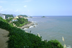 DSC05460