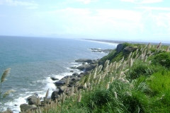 DSC05465