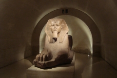 DSC05281 - Copia