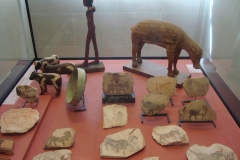DSC05286 - Copia