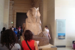 DSC05292 - Copia