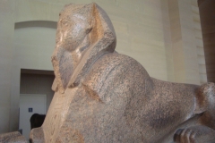 DSC05293 - Copia