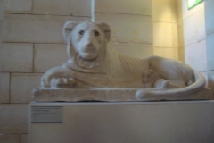 DSC05296 - Copia