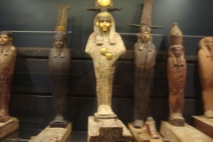 DSC05321 - Copia