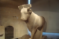 DSC05326 - Copia