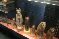 DSC05327 - Copia