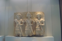 DSC05330 - Copia