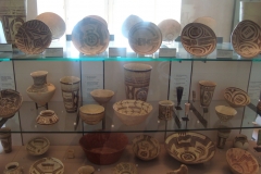 DSC05341 - Copia
