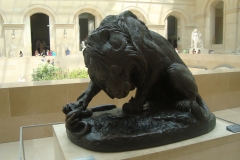 DSC05372 - Copia