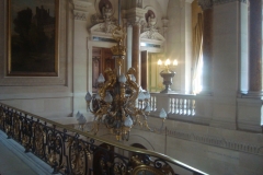 DSC05427 - Copia
