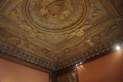 DSC05447 - Copia