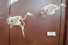 DSC05009