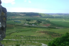 DSC06471