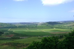 DSC06472
