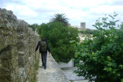 DSC06474