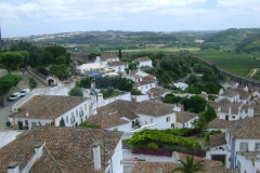DSC06484