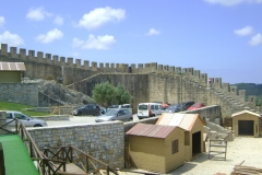 DSC06504