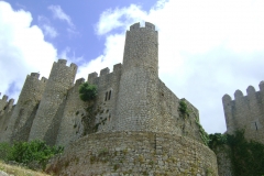 DSC06541
