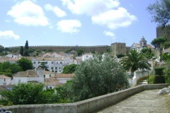 DSC06550