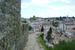 DSC06566