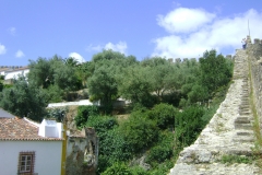 DSC06593