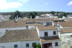 DSC06620