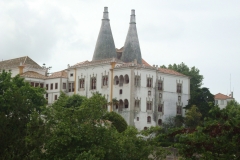 DSC03852