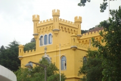 DSC03854