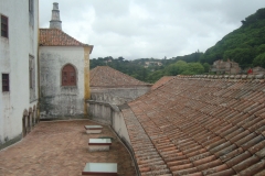 DSC03891
