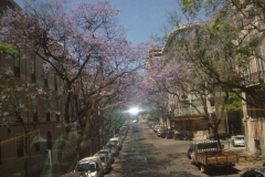 DSC03603