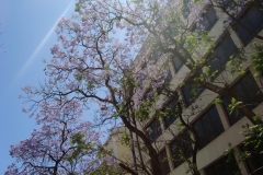 DSC03604